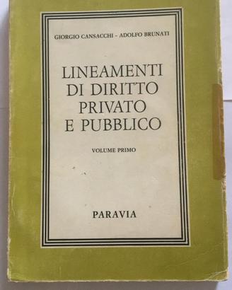 LINEAMENTI DI DIRITTO PRIVATO E PUBBLICO - vol.1