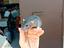 Immagine 2