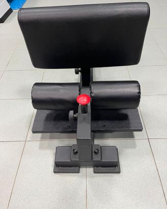 SISSY SQUAT SIDEA