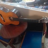 chitarra acustica  Sakura