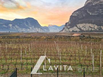 Nuovo Trilocale con terrazza e balcone CasaclimaA+