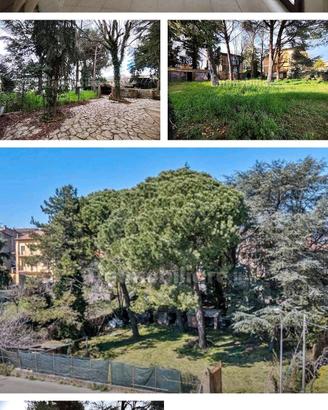 appartamento castel Viscardo fino a febbraio 
