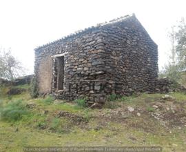 RAGALNA - ULIVETO 2.800 MQ cod. RA037T