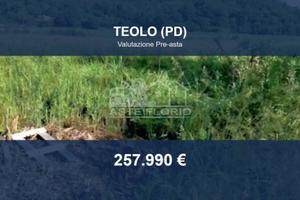 Immobile in asta di 18225 m² a Teolo
