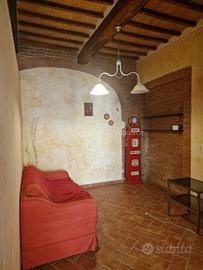 AP883 - Bettolle appartamento con ingresso indipen