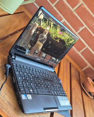 mini portatile ACER D270