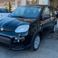 Fiat Panda 1.0 FireFly S&S Hybrid Pandina Pronta c