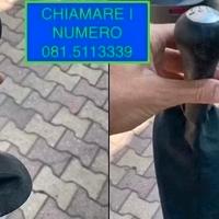 Porsche 986 996 boxster cuffia leva cambio gt 2 3