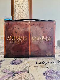 Rarissima collezione Wizarding World⭐️