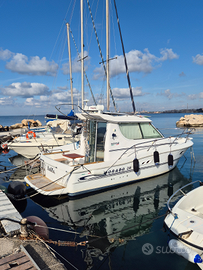 CABINATO SESSA DORADO 28 anno 2007