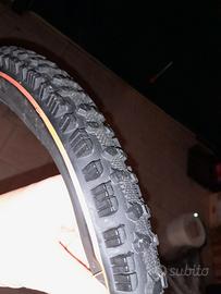 Due Copertoni mtb