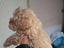 Immagine 4