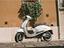 Immagine 1