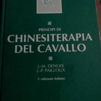 Chinesiretatpa del cavallo