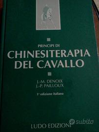 Chinesiretatpa del cavallo