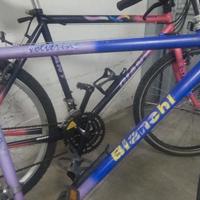 muntabike bianchi e giant 