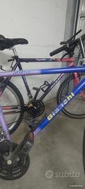 muntabike bianchi e giant 