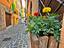 Immagine 13