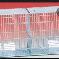 gabbie cova da 55cm e 90cm