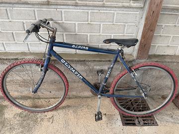 Montanbike