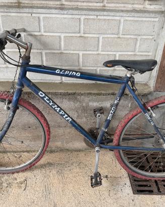 Montanbike