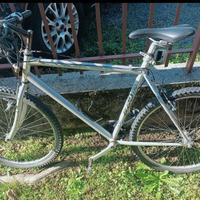 mountain bike da uomo