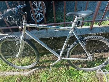 mountain bike da uomo