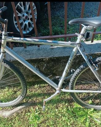 mountain bike da uomo