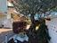 Immagine 24