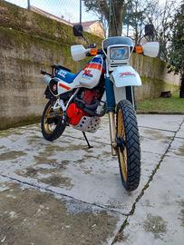 Xl 600 lm