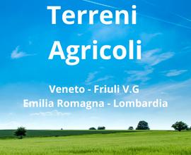 Terreni Agricoli - Veneto