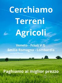 Terreni Agricoli - Veneto