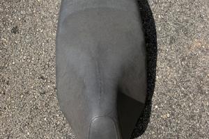 sedile liberty 50/125