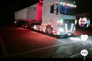 Daf xf 530 Vasca menci