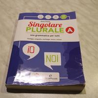 Singolare plurale A