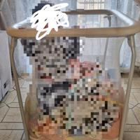 culla a dondolo più box culla bambini 