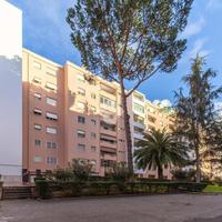 3 LOCALI A ROMA