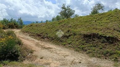 TER. AGRICOLO A ACRI