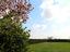 Immagine 25