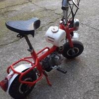Benelli city bike
