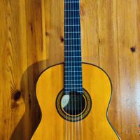 Chitarra classica Yamaha G245Sii