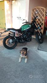 Benelli Trail 800 