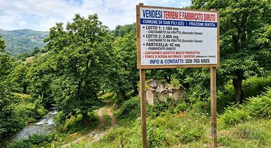 CASTAGNETO CON SORGIVA E FABBRICATO -SAN FILI (CS)