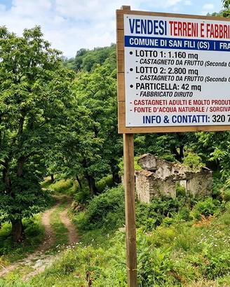 CASTAGNETO CON SORGIVA E FABBRICATO -SAN FILI (CS)