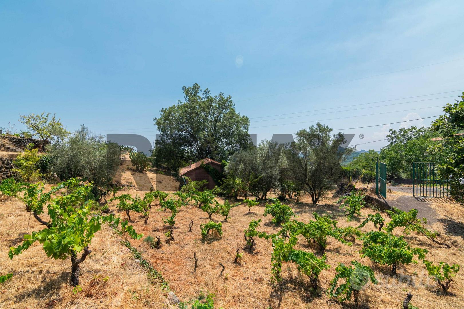 Terreno - Trecastagni - Vista 3
