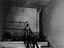 Immagine 13