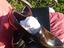 Immagine 4