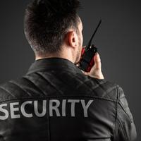 Adetto alla sicurezza