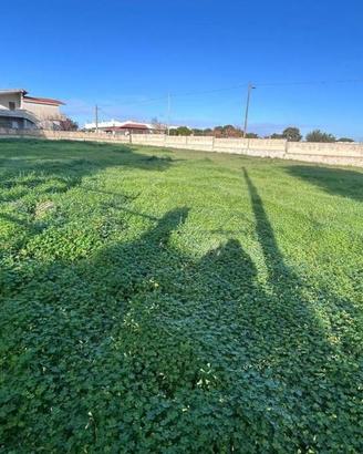 Terreno di 2800 m² a Pulsano