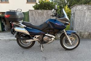 Suzuki XF 650 Freewind